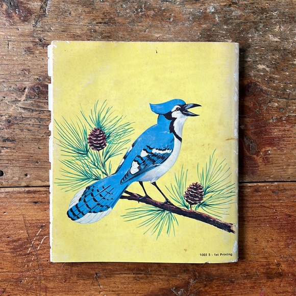 Birds To Know Vintage 60’s Colouring And Lesson Book - Picture 14 of 14